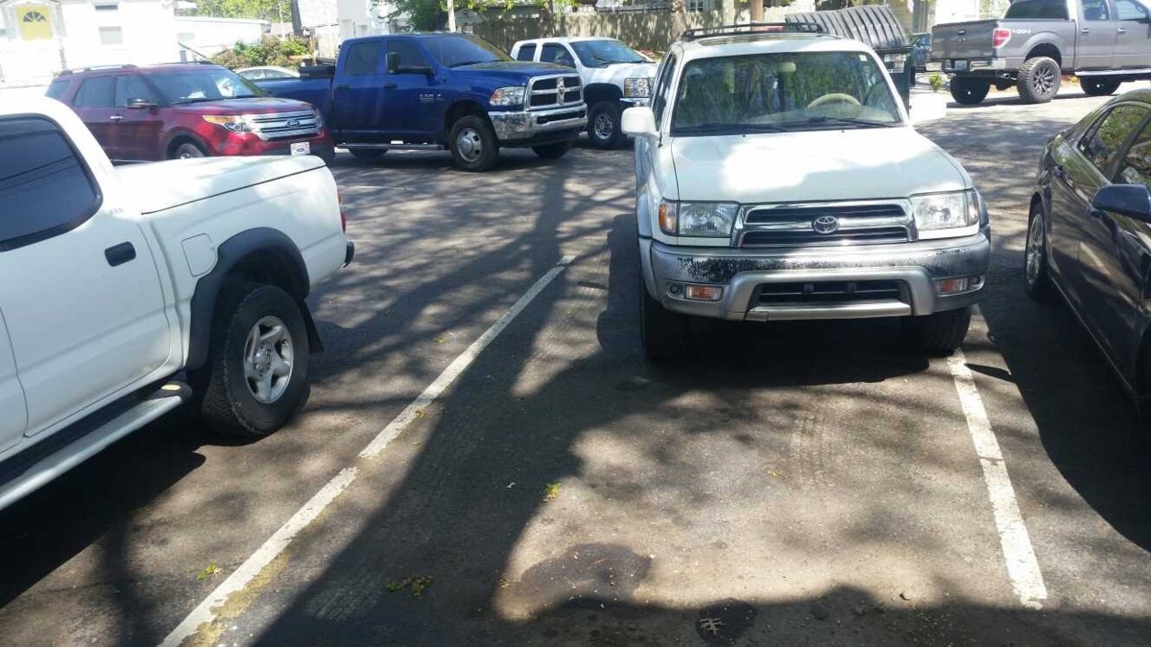 shit park.jpg
