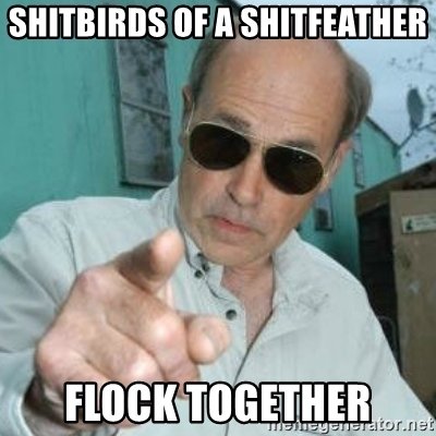 shitbirds-of-a-shitfeather-flock-together.jpg
