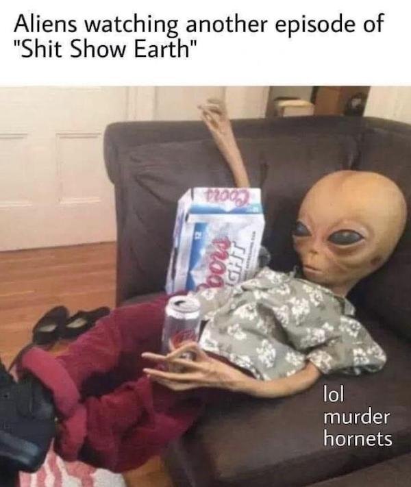 shitshow.jpg