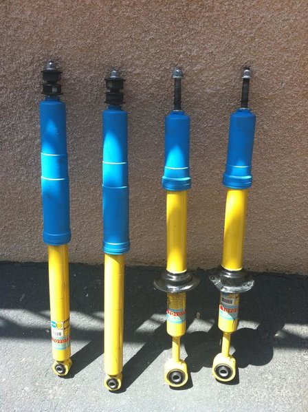 shocks 1.jpg