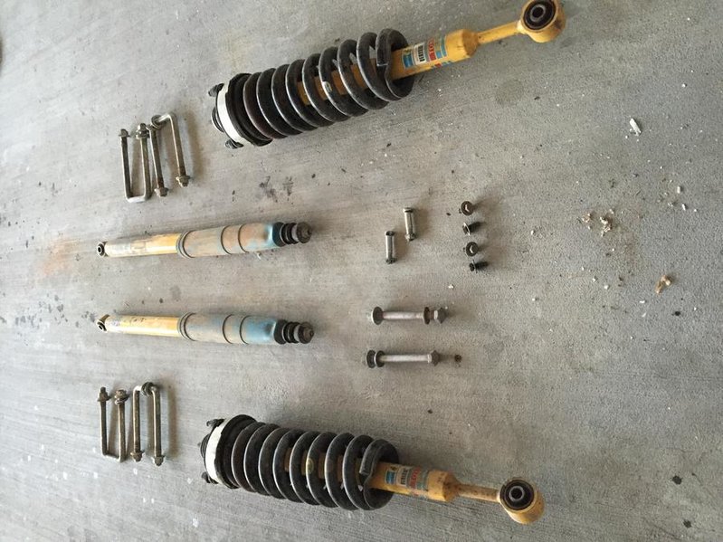 shocks 1.jpg