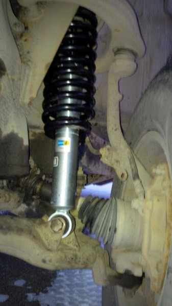 shocks 1.jpg