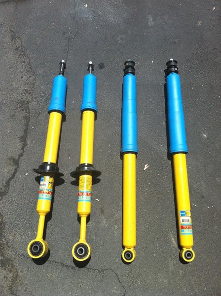 shocks 2.jpg