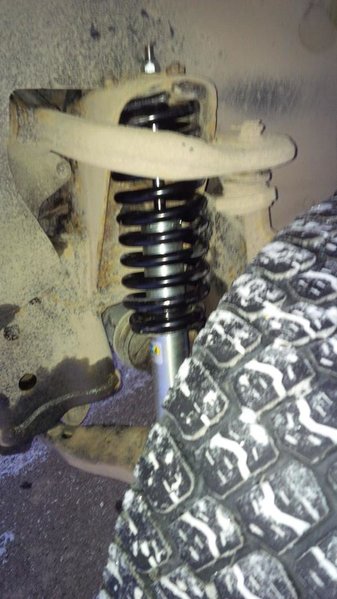 shocks 2.jpg