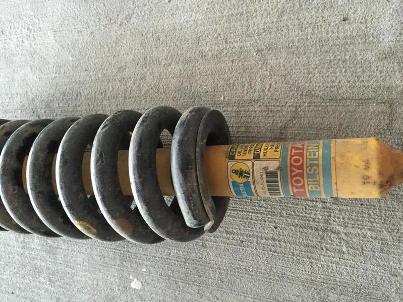 shocks 3.jpg