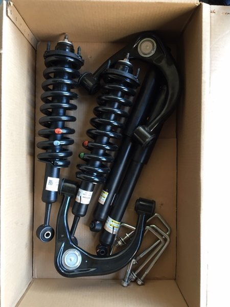 Shocks.Arm All.jpg