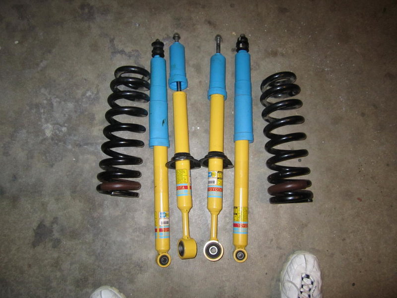 shocks.jpg