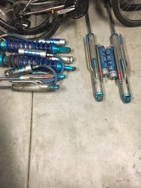 shocks.jpg