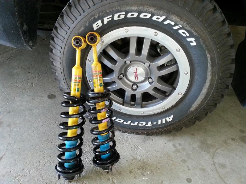 shocks.jpg