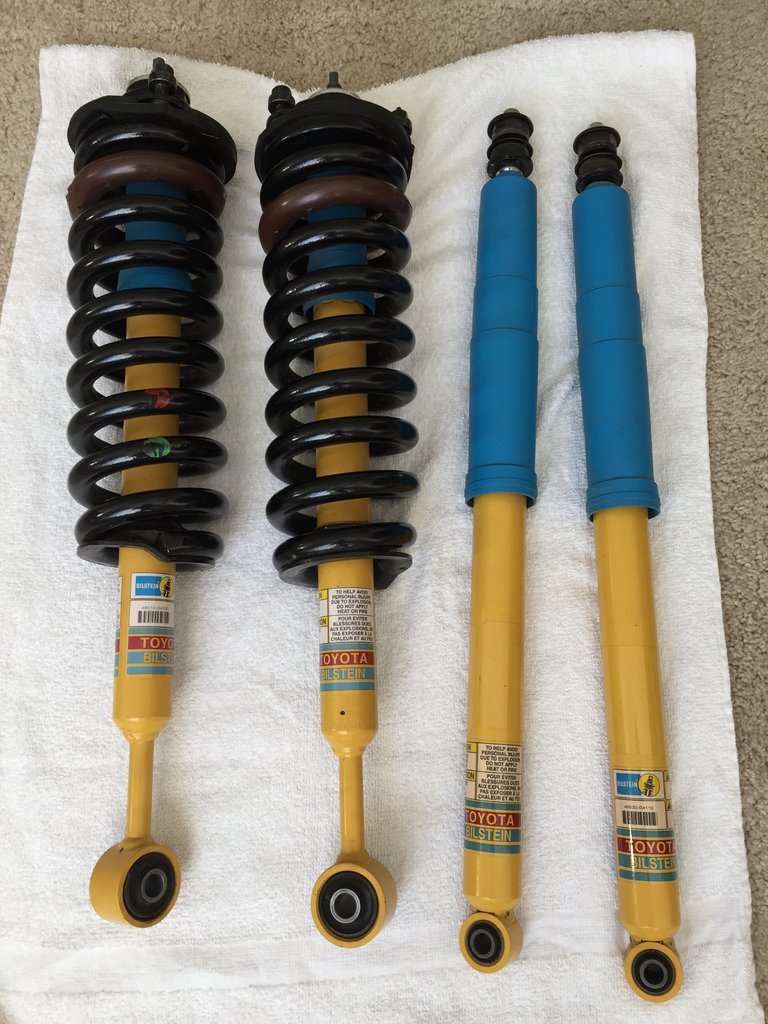 shocks.jpg