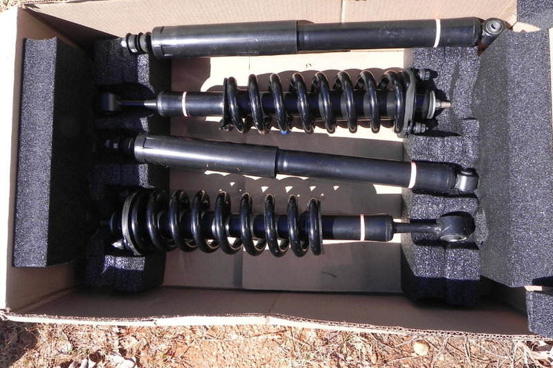 shocks.jpg