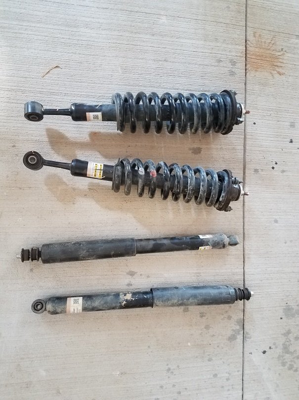 shocks.jpg