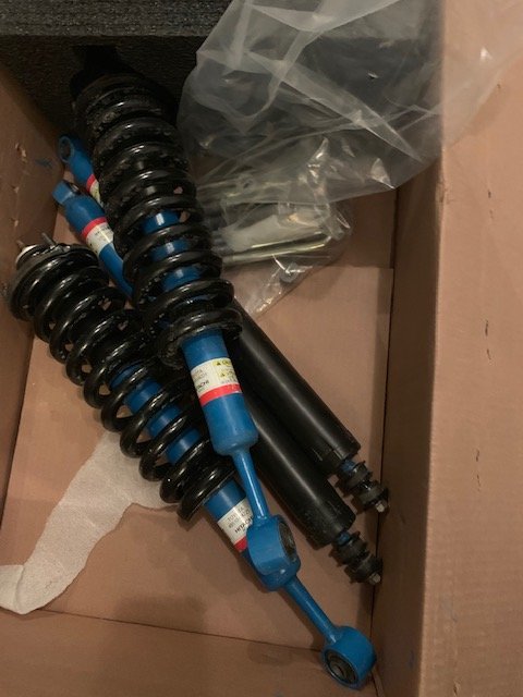SHOCKS.jpg