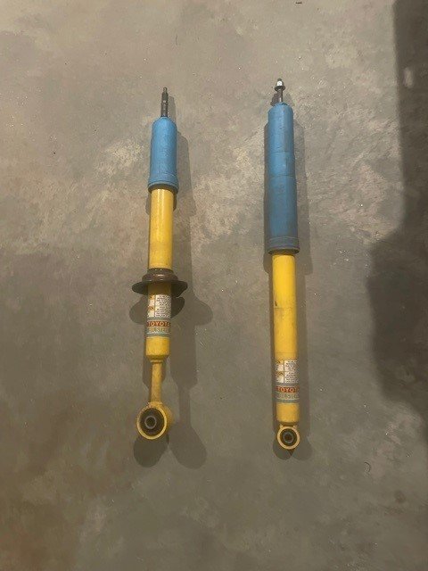 shocks.jpg