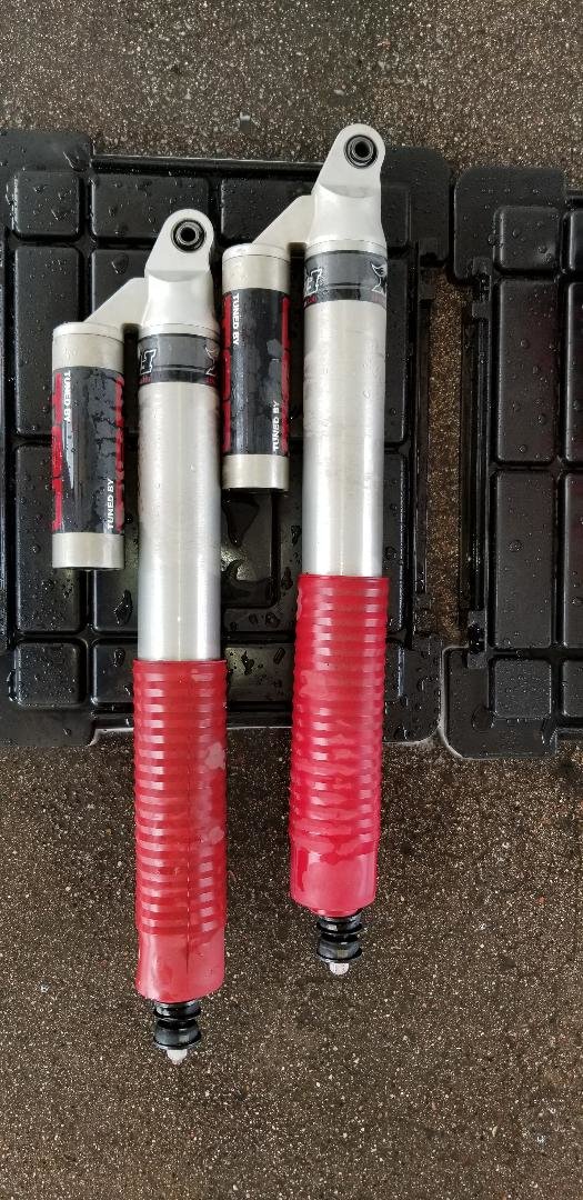 Shocks Rear.jpg
