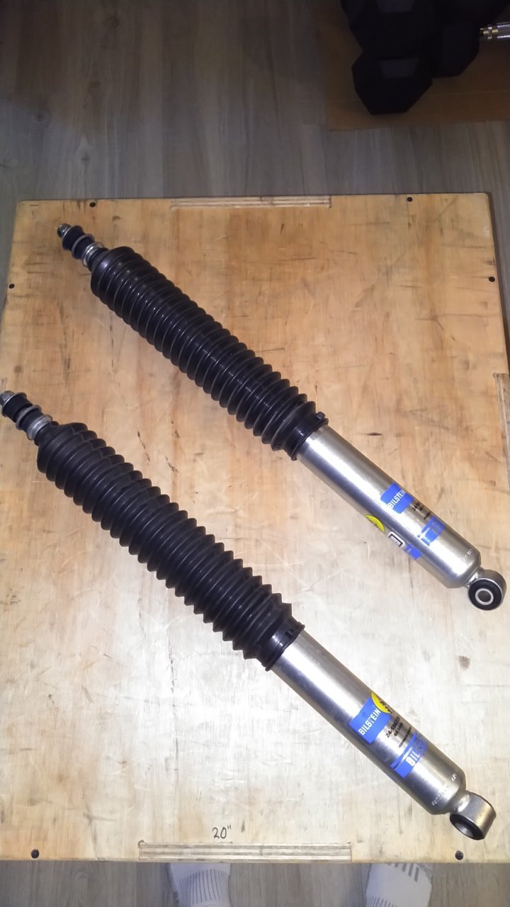 Shocks Rear.jpg