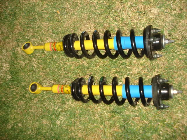 Shocks004_fe5959c07b6ee5e68d47339e0863d884dcbad199.jpg