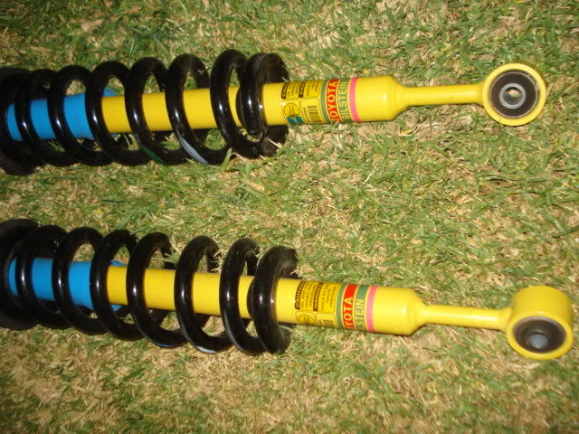 Shocks005_f57602f172a337e3bb6c933567e9204e92c33538.jpg