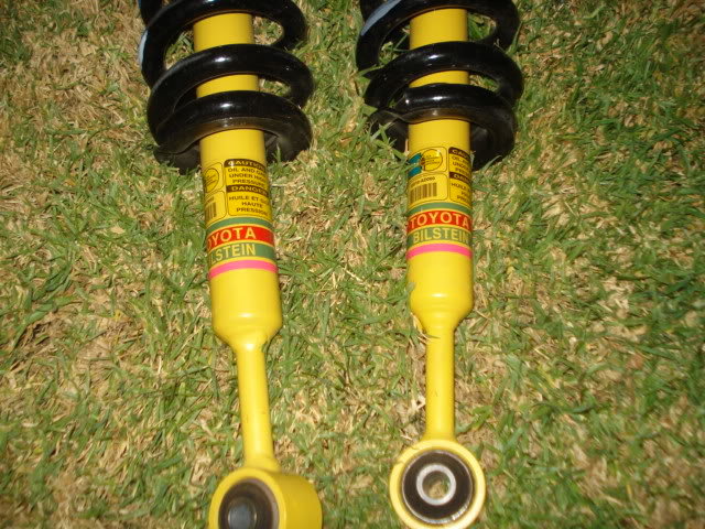 Shocks006_4fe753e8f6ae0a6c435db8102215601d08fdeecd.jpg