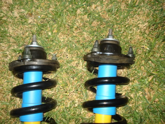 Shocks011_26fb4319a349be8fb9fde51ce7538ed81bf9abd5.jpg