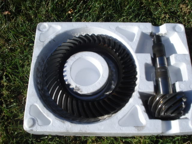 Shocks027_650300f927e219a78836cd0658da643fb91e3496.jpg