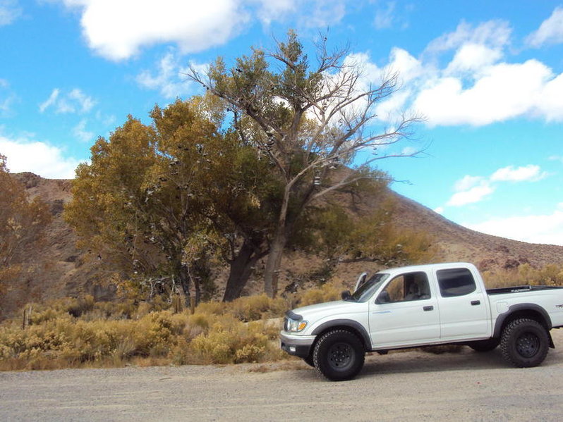 Wheelers Off Road Wheels | Tacoma World