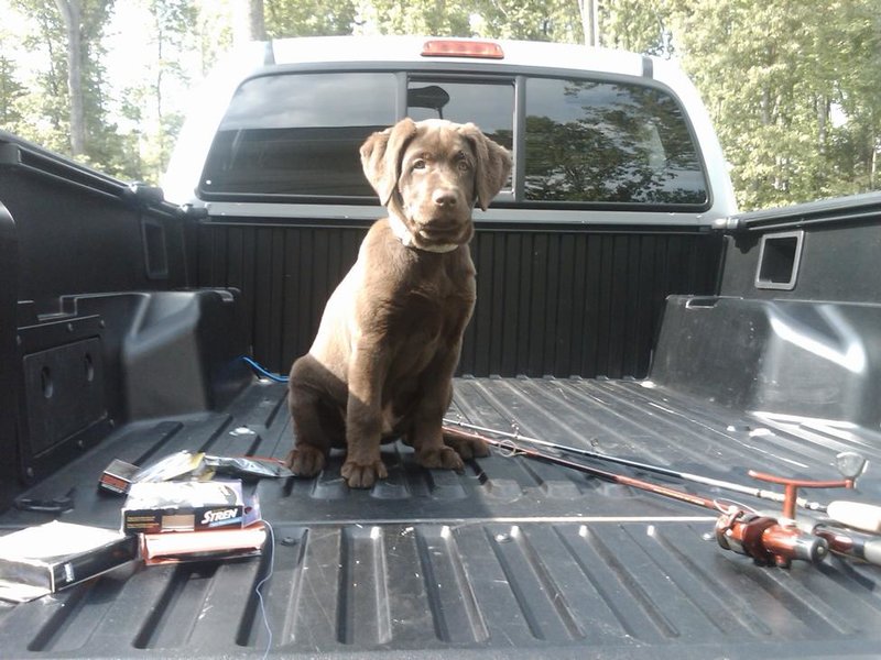 shooter in bed of truck.jpg