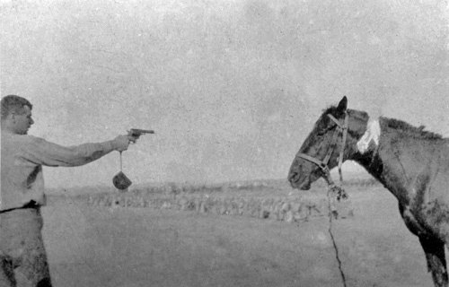 shooting-horse.jpg