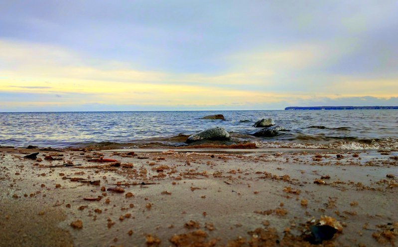 Shore.jpg