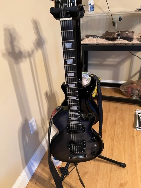 shred.jpg