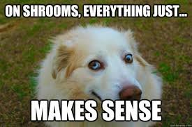 Shrooms.jpg