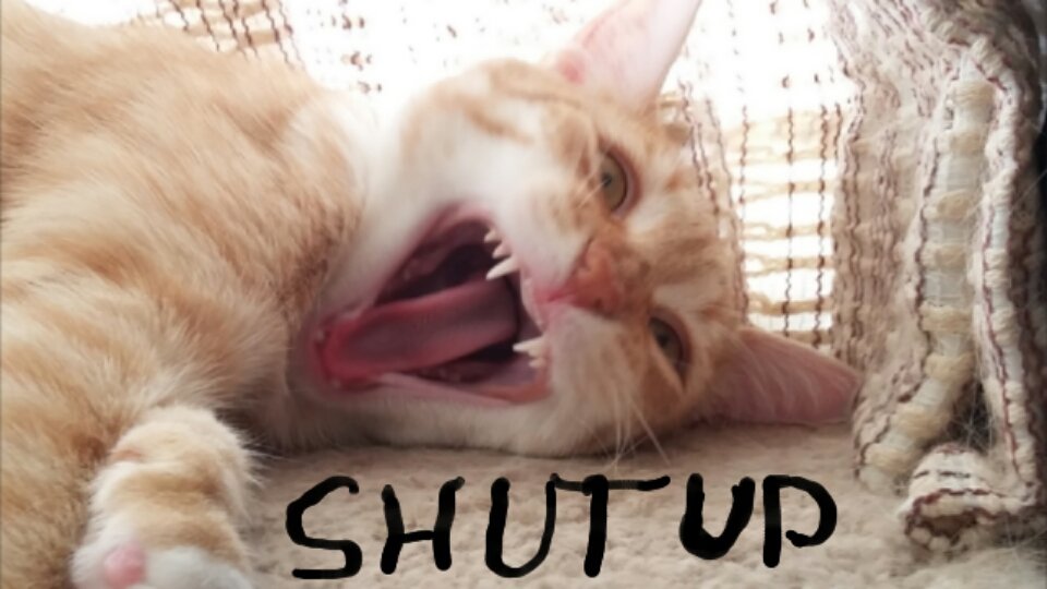 shut up .jpg