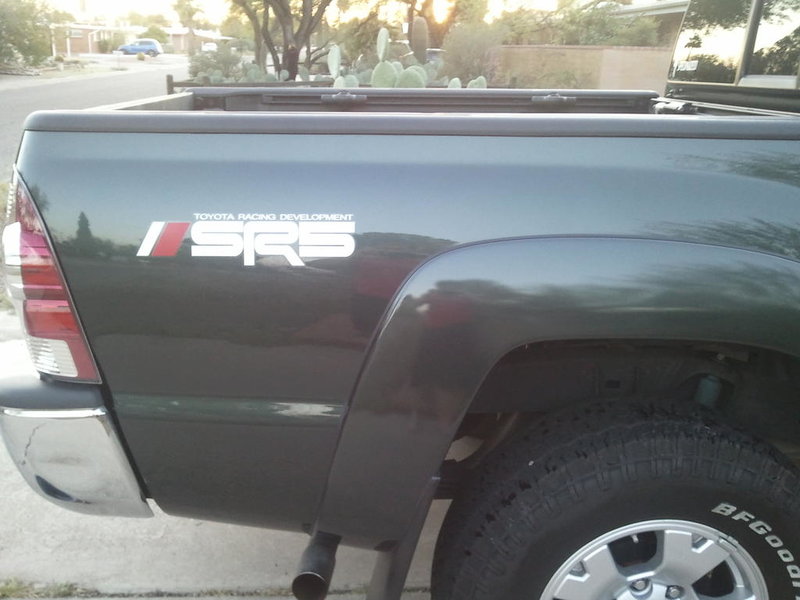 side badging.jpg