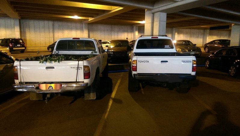 side-by-side.jpg