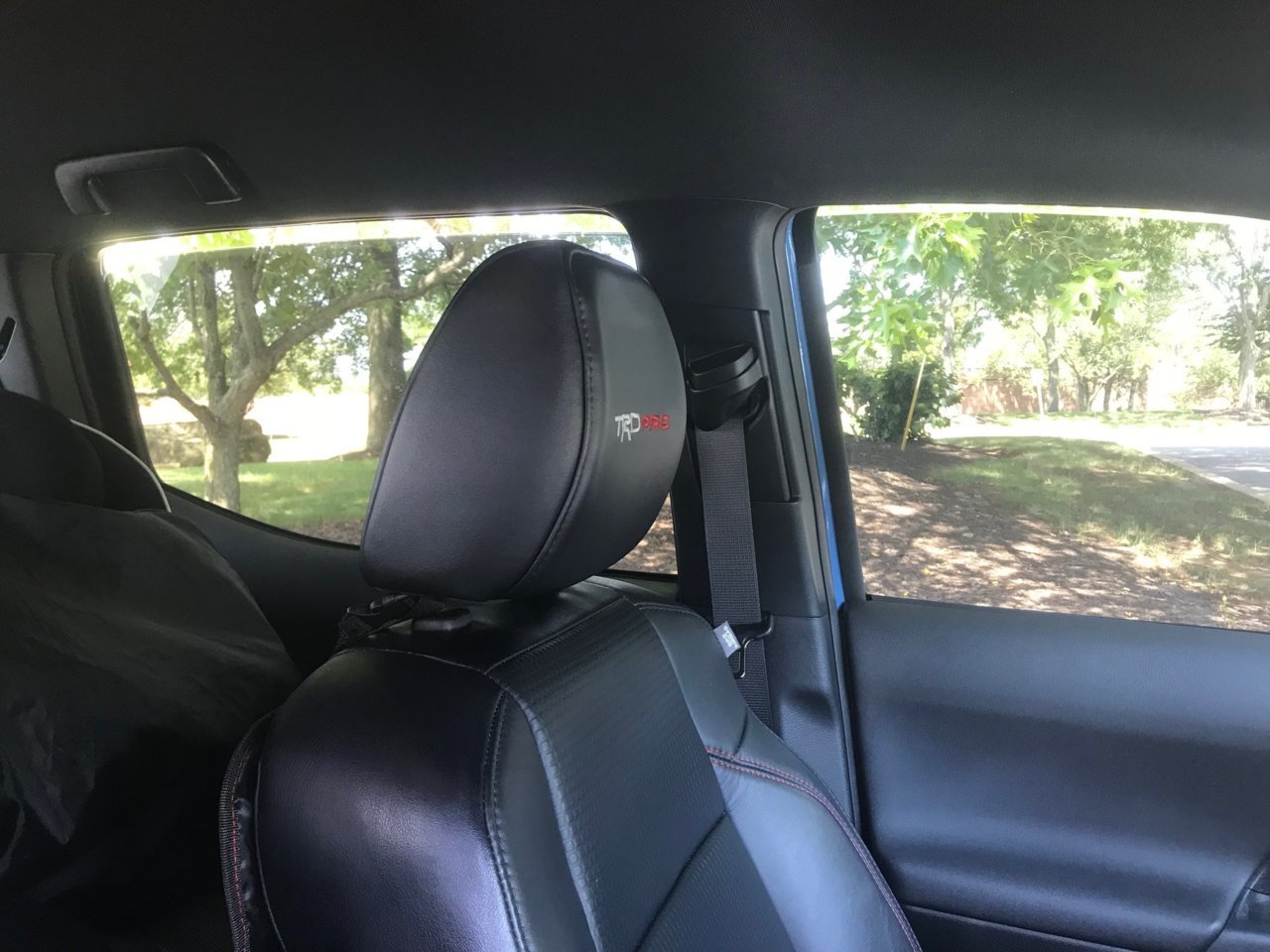 side tint interior.jpg