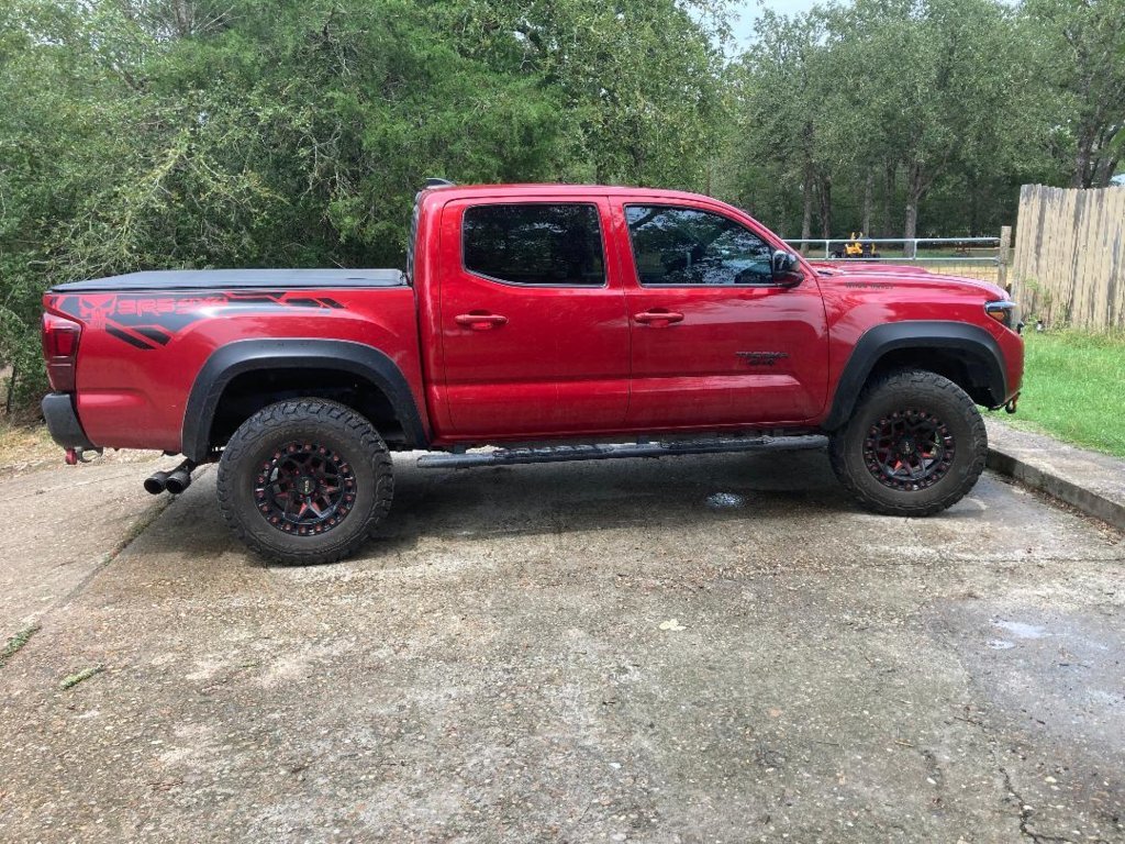 side view II.jpg