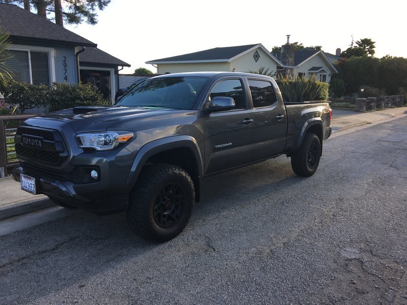 Side View.jpg