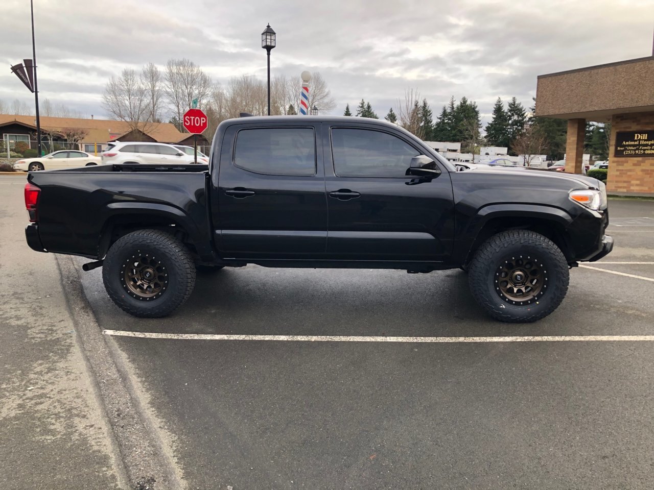 Side View.jpg