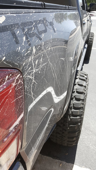 SideMuddy.jpg
