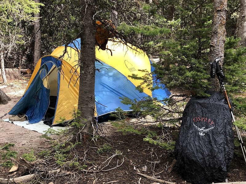 Sierra Design.jpg