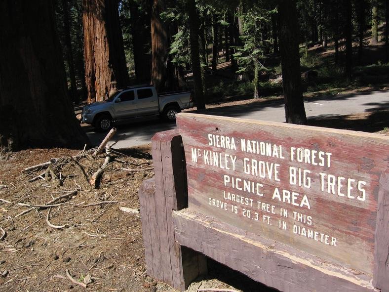 Sierra Nat'l forest.jpg
