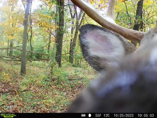 signal-2023-10-25-10-15-14-267.jpg