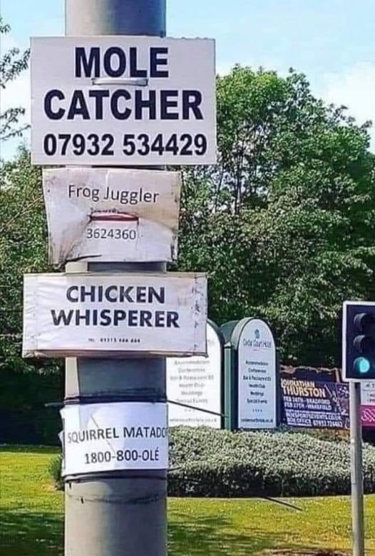 signs_n.jpg
