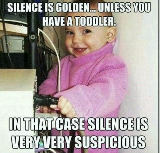 Silece-is-golden.jpg