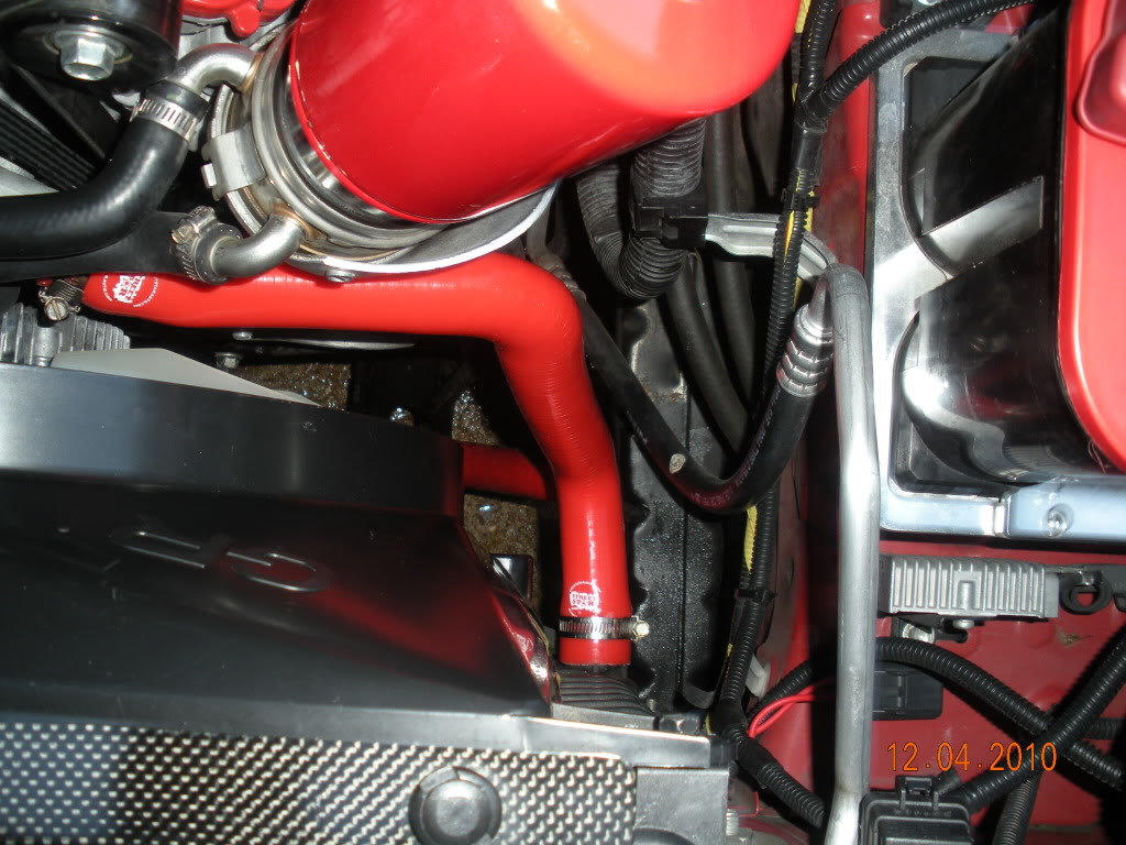 SiliconeRadhoses043_8a8dfbdfaa62d198f2c051e8ede001265ba3f0db.jpg