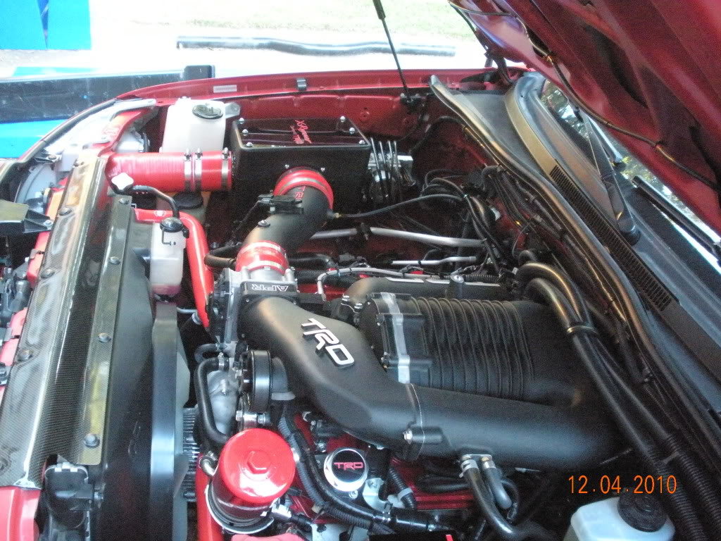 SiliconeRadhoses054_a0f8146f2d8bd888494484ef532ef61783bba908.jpg