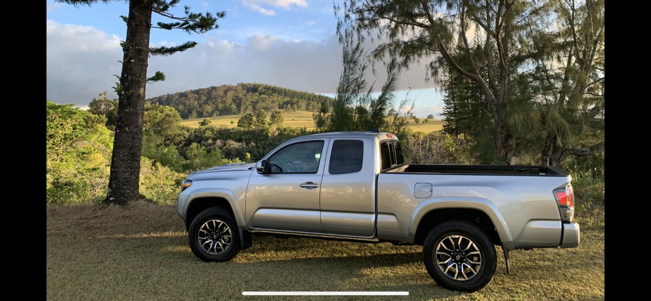 Silver Taco.jpg
