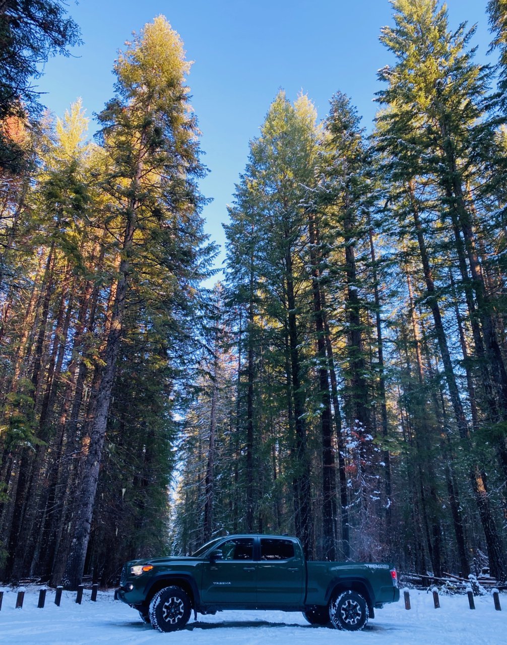 Siskiyou_nov26_tacoma.jpg