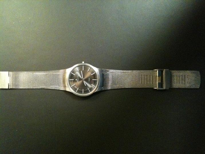 skagen 1.jpg