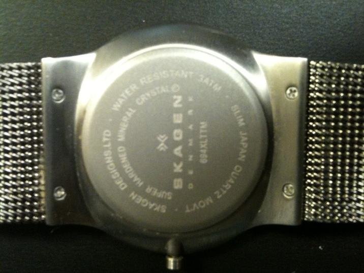 skagen 2.jpg